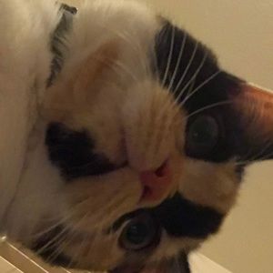 Meet your Posher, Danae